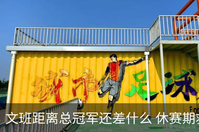 文班距离总冠军还差什么 休赛期救赎从增重开始？